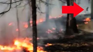 10 Video Inspiegabili Su Tik Tok