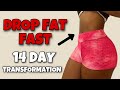 DROP FAT IN 14 DAYS | DO THIS DAILY TO LOSE WEIGHT (No Equipment Needed)