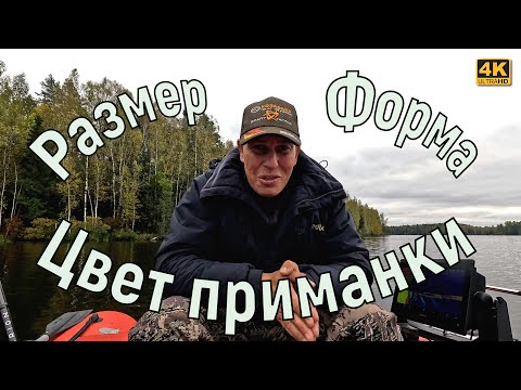 Цвет приманки, размер приманки, форма приманки. Что главней?