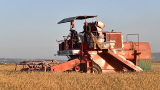 Tunisia struggles to grow more wheat as Ukraine war bites screenshot 3