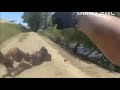 Chaos ERUPTS - Domestic Violence Call of Man with Knife! Body Camera Footage!