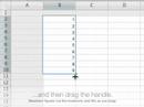 Apple Numbers Data Fill