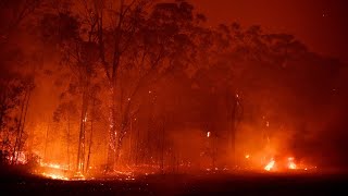 Australia on alert for heatwaves, fires and drought following El Nino declaration