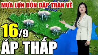 Dự báo thời tiết hôm nay và ngày mai 16/9/2026 | Dự báo thời tiết trong 3 ngày tới