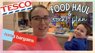 TESCO + HOME BARGAINS HAUL | GROCERY HAUL & MEAL PLAN UK by Mummy Cleans 850 views 2 months ago 12 minutes, 26 seconds