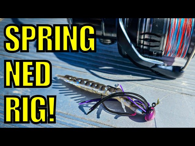 Shallow Summer Cranking  13 Fishing Scamp Crankbait 