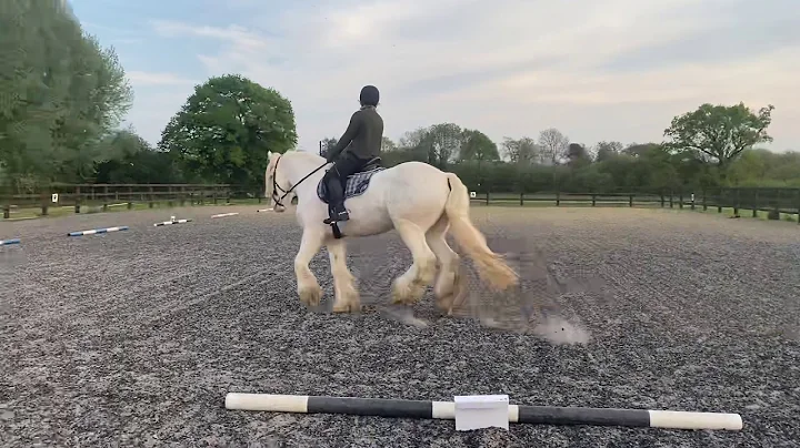 Janet Burdett riding Kevin - ERdier April 2020 - N...