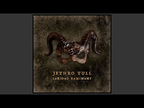Curious Ruminant - YouTube