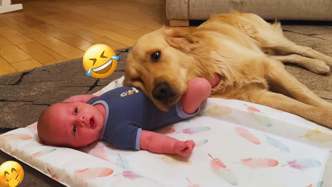 The Best of the Best! The Funniest Animal Videos of 2024 & Start 2025! Funny DOG videos 🐶😂💕 | PART 5