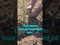 " No tools, just hands