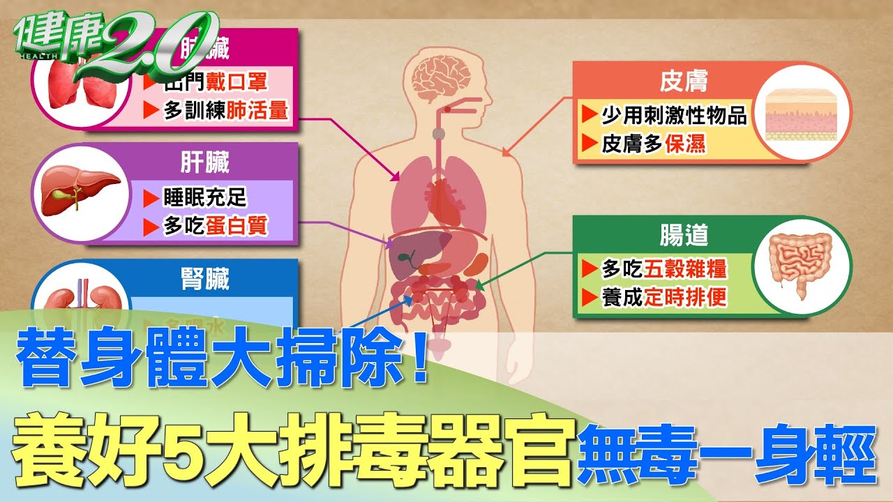 替身體大掃除！養好5大排毒器官 無毒一身輕 健康2.0 - YouTube