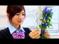 Chocomimi Ep 1 (raw) 1/2/3