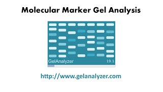 Gel Analyzer   درس خصوصي: شرح برنامج screenshot 2