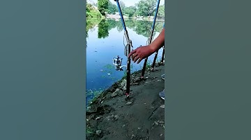 Cần câu cá tự động giật, câu cá lancer, câu câu tự động săn hàng đến 20kg #fishing #shorts