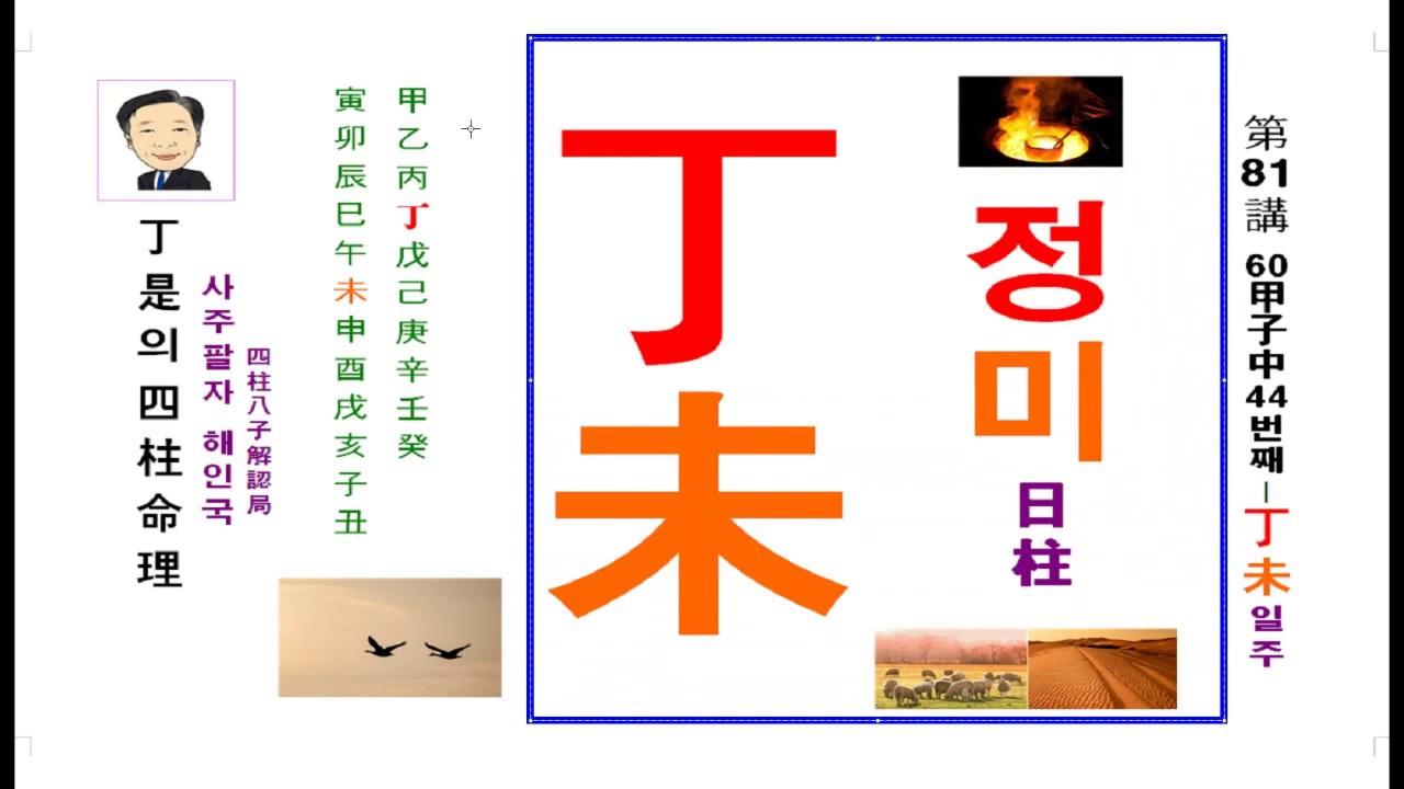 사주팔자 와 운명-정미일주 편입니다.정시의 사주명리81강(정미일주-44번째/60갑자 중)- 읽으면서 알아가는 사주강의-운명의 내 삶을 알려주는 것은 사주팔자 밖에는 없습니다.