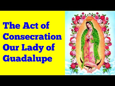 The Act of Consecration to Our Lady of Guadalupe - YouTube