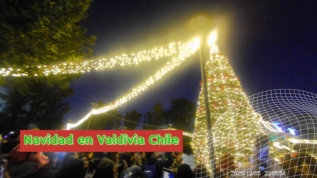 Navidad en Chile - Encendido Arbol en Valdivia 2025 - YouTube