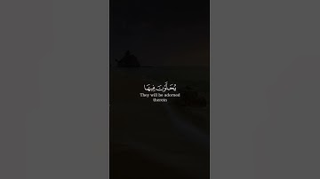 وديع اليمني - سورة الحج