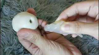 Half Diamond Fold Menstrual Cup for Low Cervix | Sinaya Cup