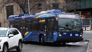 NYCT Bus: 2022 Novabus LFS Action on the Q44 Select Bus Service at Parkchester (Hugh Grant Circle)