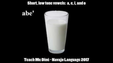 Navajo Vowels