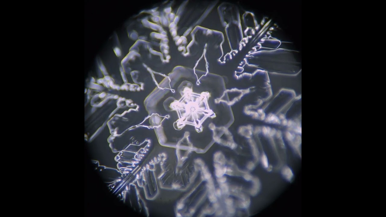 darkfield snowflake under the microscope