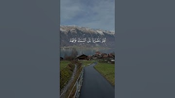 تلاوة هادئة من سورة ق | الشيخ مشاري العفاسي