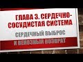 Физиология. Глава 3. Сердечно-сосудистая система. Сердечный выброс и венозный возврат.