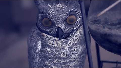 Canon C100 Test footage edited with Davinci Resolve 16