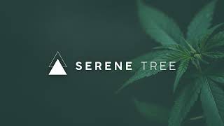 Serene Tree Live Stream