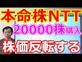 本命株NTT(9432)株価急落も20000株購入完了！株価反転すると思う根拠
