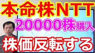 本命株NTT(9432)株価急落も20000株購入完了！株価反転すると思う根拠