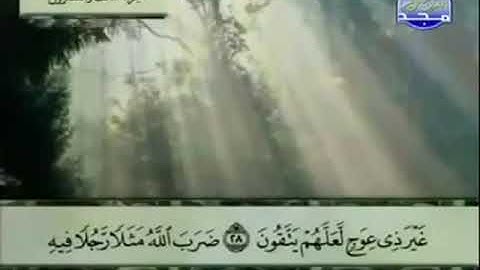 القراءة الصحيحة للآيتين 28-29 سورة الزمر