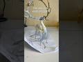 POV: клиент устроил драму #творчество  #ooak #arttoy #handmade #криптид #youtubeshorts