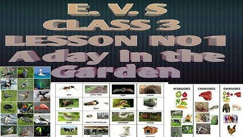 A Day in the Garden Class 3 EVS lesson no 1 with textbook activities / Karnataka state syllabus