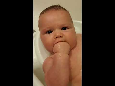 Finger Food - YouTube