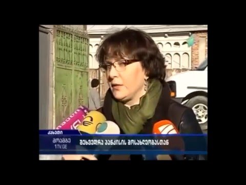 თავდაცვის მინისტრი პანკისის ხეობის მოსახლეობას ხვდება