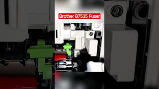brother B7535 Fuser | papar Jam in printer | Maclap it solution😆