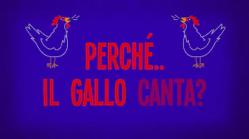 Cosa significa quando il gallo canta?