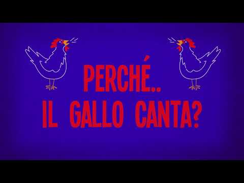 Video: Perché I Galli Cantano?