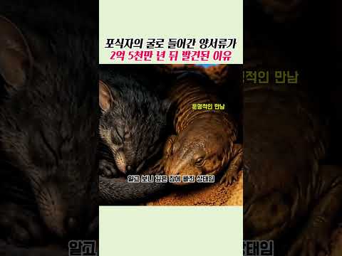 천적의 굴에서 같이 잠든 <strong>양서류</strong>? 2억 5천만 년 전 화석의 미스터리