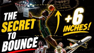The Secret To Jumping Higher! (My Full Bounce Workout)