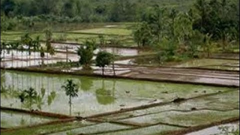 degung kawih, Lermbur Kakasih - Nining Meida.wmv