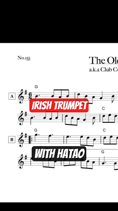 thanks to Hatao, I was allowed to try some more Irish Trumpet. #folkmusic #music #flute #pampet