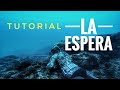 ¿COMO HACER UNA ESPERA? - TUTORIAL TÉCNICA PESCA SUBMARINA #3