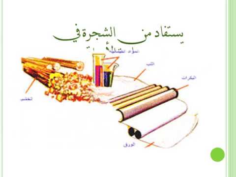 اسبوع الشجرة الطالبة شهد الذويبي