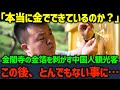 【海外の反応】「本当に金か確かめてやるよ」金閣寺の金箔を剥がす中国人観光客...この後、とんでもない事になる