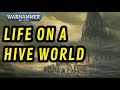 Life on a hive world i 40k lore