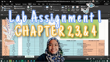 Microsoft Excel: FIN534 Lab Assignment 1 [CHAPTER 2, 3, & 4]