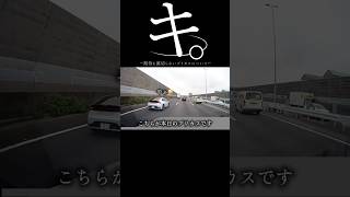 【ドラレコ】キ。期待を裏切らないプリカスについて#ドラレコ #dqn #プリウス #shorts